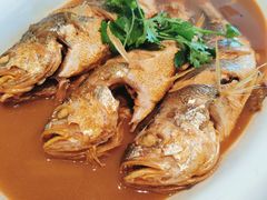 -大连湾旭日·家宴·海肠捞饭(马栏广场店)