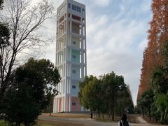 -东平国家森林公园
