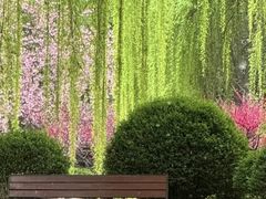 -唐城墙遗址公园