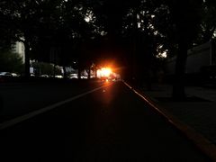 -枫花园汽车电影院(朝阳公园店)