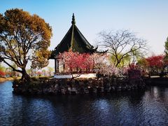 -无锡蠡湖国家湿地公园-蠡园