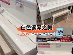 -盛世雅歌琴行·雅马哈钢琴专卖店·电钢琴城·钢琴培训(新辰里学清路店)