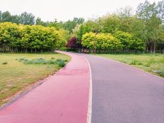 -北京麋鹿生态实验中心