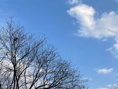 -西昌邛海湿地