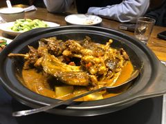 甲鱼牛蛙锅-洪湘记川湘·甲鱼馆(四海凯悦美食广场店)