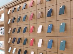 -Apple零售店(中街大悦城店)