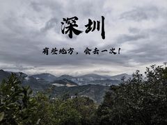 -梧桐山风景名胜区