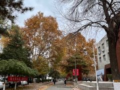 -中央民族大学