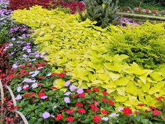 -庐山风景区花径公园