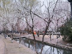 -三里河公园