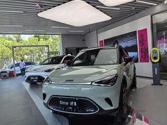-上海浦东smart汽车全功能店(金桥店)