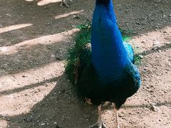 -雪山彩虹谷景区