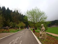 -武陵山森林公园