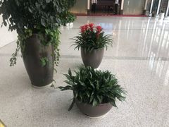 -深圳悦如酒店(香蜜公园车公庙地铁站店)