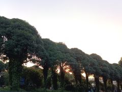 -皇氏新鲜屋(-正恒国际店)