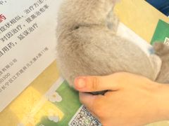-玖佳宠物医院·泌尿·骨科·中老年病