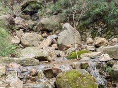 -房干生态旅游风景区