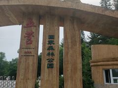 -五营国家森林公园