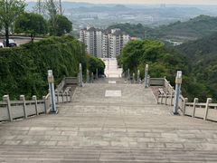 -铁山坪森林公园