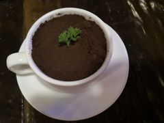 -喵园·猫主题咖啡厅·撸猫·猫咖(国贸店)