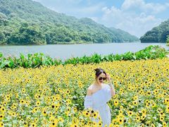 -广州市石门国家森林公园