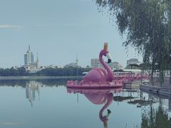 -莲花池公园