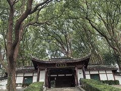 -上海佘山国家森林公园天马山园