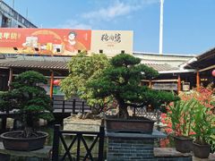 -猪肉婆私房菜(容桂总店)