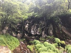 -望天鹅景区