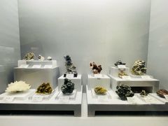 -湖南省地质博物馆