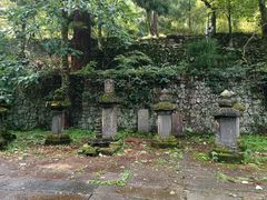 -天目山大树王景区