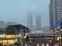 -花果园湿地公园