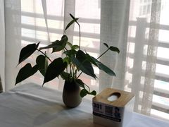 -眉州东坡(东坝店)