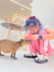 -Moni星球萌宠·小马宝莉·灵蛇·高端高阶全萌宠互动体验俱乐部(红豆国际广场店)