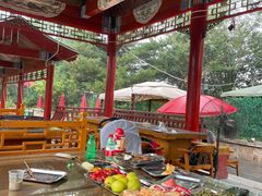 -尚庄度假村·庭台树下·户外烧烤·团建CS·轰趴营地(上庄水库店)