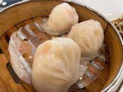 虾饺-金鮀岛潮州酒家