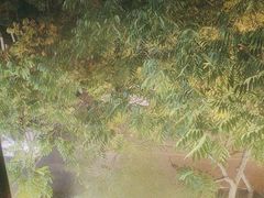 -和子足浴SPA会馆(梁溪店)