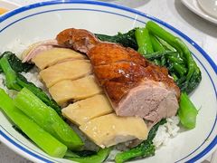 烧鸭拼白切鸡-香港新发烧腊茶餐厅(书城店)