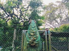 -吉隆坡雀鸟公园