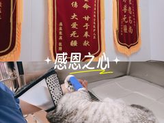 -瑞派新吉太郎宠物医院·重症转诊中心·泌尿道(嘉禾望岗院)
