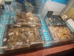 -九月海·海鲜自助(世纪东方店)