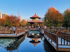 -五缘湾湿地公园