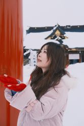 -IDOL-PLUS