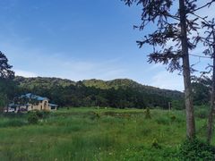 -海南热带雨林国家公园吊罗山景区