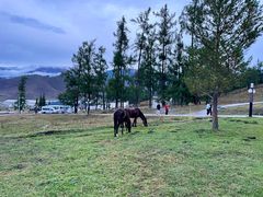 -喀纳斯鸿福生态度假酒店