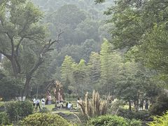 -杭州雅谷泉山庄酒店-餐厅