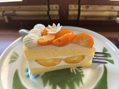 -聚福SHANGHAILANDER(乌鲁木齐南路店)