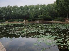 -云岗森林公园