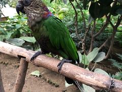 -南宫五洲植物乐园