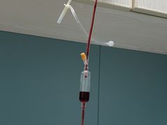 -关爱动物医院·心脏·中兽医·异宠(金牛路分院)